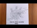 how to draw amoeba easy/amoeba diagram/amoeba drawing