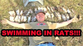 Over 40 Rat BONANZA with Trained Mink and Dogs!