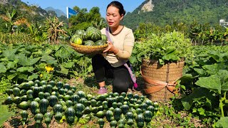 2 years of building a life: Harvest Pumpkin, Red Radish, Grilled Pork, Going to the Market to Sell.