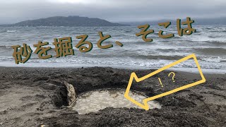 砂を掘ると、それは出現する。北海道　屈斜路湖。