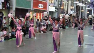 高知よさこい祭り2016　本祭一日目　全日本グループ　帯屋町演舞