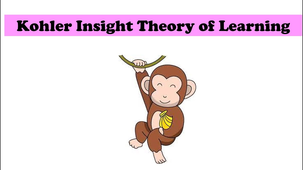 Kohler Insight Theory Of Learning|Insight Experiment|Insight Theory ...