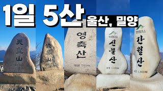 1일5산 경남 울산 밀양 영남알프스 영알 겨울 설산 천황산 재약산 영축산 신불산 간월산 연계 산행 등산 코스