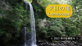 夕日の滝 Landscape ＜2021年9月神奈川＞