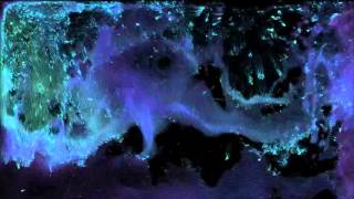 openFrameworks fluid