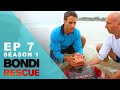 Surfer Lies Motionless In The Water | Bondi Rescue - Season 1 Episode 7 (OFFICIAL EPISODE UPLOAD)