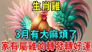 大事不妙！生肖雞3月有大麻煩了！誰家有屬雞的？快通知一下！|一禪意#生肖 #運勢 #風水