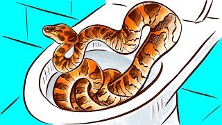 Así es como una serpiente entra a tu baño