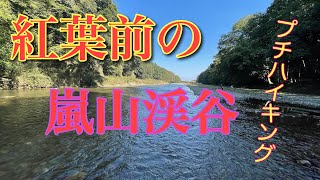 紅葉前の嵐山渓谷