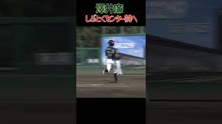 しぶとくセンター前へ #澤井廉 #東京ヤクルトスワローズ #バッティング #プロ野球 #NPB