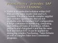 proexcellency provides sap vistex online training