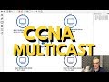 CCNA multicast quiz question: How will multicast traffic flow in the network? CCNA | CCNP