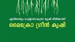 പച്ചക്കറിത്തോട്ടവും കൈക്കുമ്പിളില്‍, മൈക്രോ ഗ്രീനാണ് പുതിയ താരം