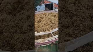 Mixing feed for cows - Strautmann Verti-Mix 1251