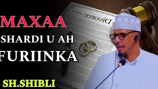 MAXAA SHARDI  U AH FURIINKA? || SH.MAXAMUD SHIBLI