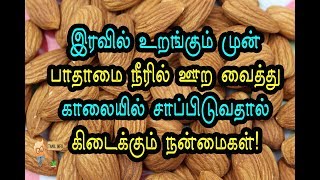 இரவில் உறங்கும் முன் பாதாமை நீரில் ஊற வைத்து காலையில் சாப்பிடுவதால் கிடைக்கும் நன்மைகள்!