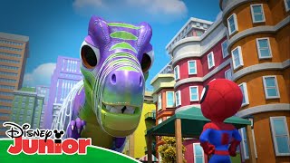 Gob-zilla Dinazor Günü 🦖 | Marvel Spidey ve İnanılmaz Arkadaşları | Disney Kids Türkiye