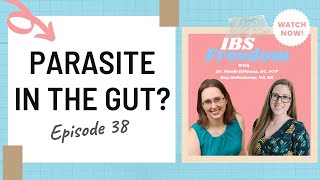 Parasites: The Good, The Bad, and The Ugly - Clip from IBS Freedom Podcast #38