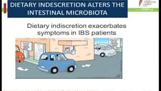 IBS and the Microbiota