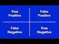 True Positive, False Positive, True Negative, and False Negative