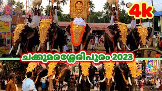 ചക്കുമരശ്ശേരിപൂരം2023||chakkumarassery|#pooram2023 #keralaelephants#keralafestivals #elephantkerala