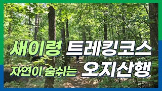 새이령 트레킹 코스 / 계곡 트레킹 / 등린이 추천 / 미시령 마장터 / 대간령 / 옛길 / 오지 트레킹