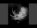 THE VOID (Ultra Slowed)