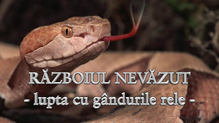 RAZBOIUL NEVAZUT - Lupta cu gandurile rele