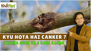 Seb ke Pedon Mein Canker Hone Ke 3 Ahem Karan || Jittu Chauhan Orchardist