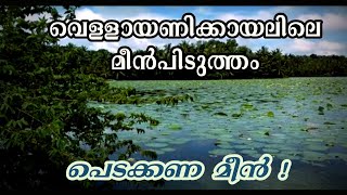 Vellayani Lake | Monsoon Fishing from road... Amazing