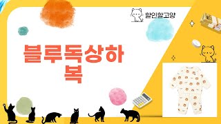 블루독 상하복 리뷰: 스타일과 편안함을 동시에!