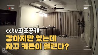 cctv최초공개! 아무도 없는데 자꾸 커튼이 열림