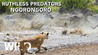 NGORONGORO CRATER | The Arena of Survival for the Lords of the Savannah | Animal Documentary