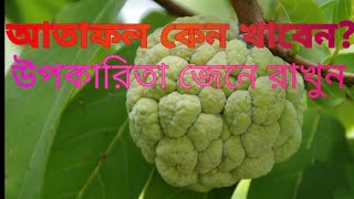 আতা ফলের উপকারিতা ও পুষ্টি গুণ Ata foler Upokarita o gunagun #alochona #fruit #etc