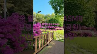 보령물빛공원 예쁜 철쭉꽃 ASMR (충남 보령시 주산면 동오리 보령물빛공원 철쭉 활짝핀 풍경)