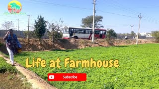 A day towards Farmhouse || నా కార్ ని మీ శ్రీదేవి ఎలా వాడుతుందో చూడండి😭|| Life at Farmhouse ||