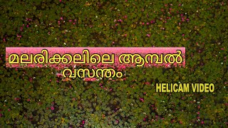 കോട്ടയം മലരിക്കലിലെ ആമ്പൽ വസന്തം  2021 Malarikal helicam video MALARIKAL WATER LILIES kottayam