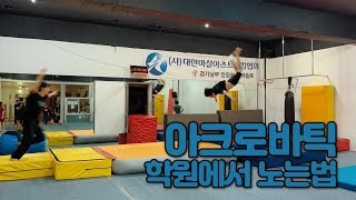 아크로바틱 학원에서 노는 법 / 섬머솔트 아크로바틱 릴레이  / Acrobatic Relay