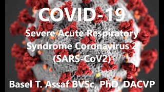 COVID-19 Severe Acute Respiratory Syndrome Coronavirus 2 (SARS-CoV2) Lung Histopathology