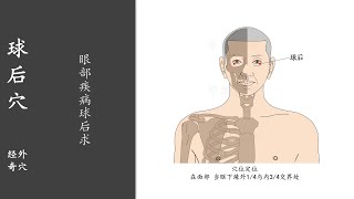 人体穴位361：球后：眼部疾病球后求，用中指指尖按揉球后穴3～5分钟，每天坚持按摩，可防治眼部疾病 20220501