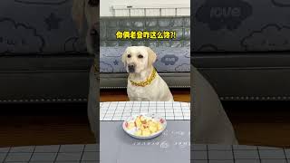 汤圆：你俩心眼子真多！😂😅 #狗狗 #狗狗用品 #萌宠出道计划