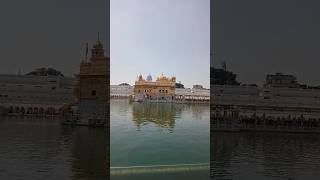 Golden Temple Amritsar 🙏😇 || Darbar Sahib Amritsar // #shorts