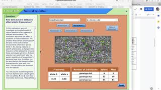 Natural Selection Virtual Lab Tutorial