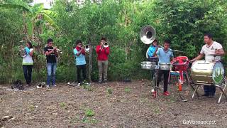 Pura Banda de Viento con La Arrasadora Banda Santa Cecilia de Ixcatepec, Ver.