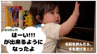 【生後8ヶ月】名前を呼んだら手を挙げた！？ 【成長記録】