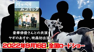 ヤギがちょっとだけ出る映画「川っぺりムコリッタ」ぜひ映画館で観てね 2022年8月19日 Goat Farm