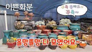 3월23일☆이쁜화분☆수제공방분 ☆올망졸망 아기자기 화분☆