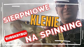 SIERPNIOWE KLENIE / Ostatni sierpniowy wypad na klenie / #klenie #spinning