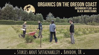 STORIES ABOUT SUSTAINABILITY | Black Moon Farms, Bandon, OR