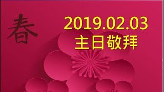 林口靈糧堂 20190203 主日敬拜 敬拜C團